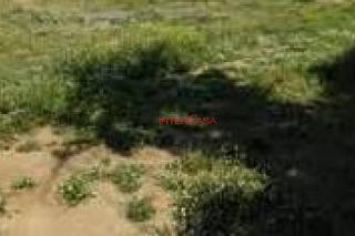 Οικόπεδο 704 τ.μ. για πώληση