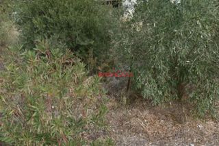 Οικόπεδο 332,50 τ.μ. για πώληση
