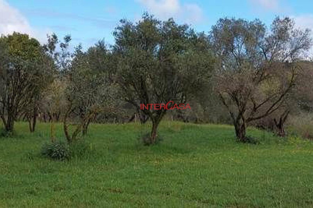 Οικόπεδο 4.510 τ.μ. προς πώληση, Αργοστόλι