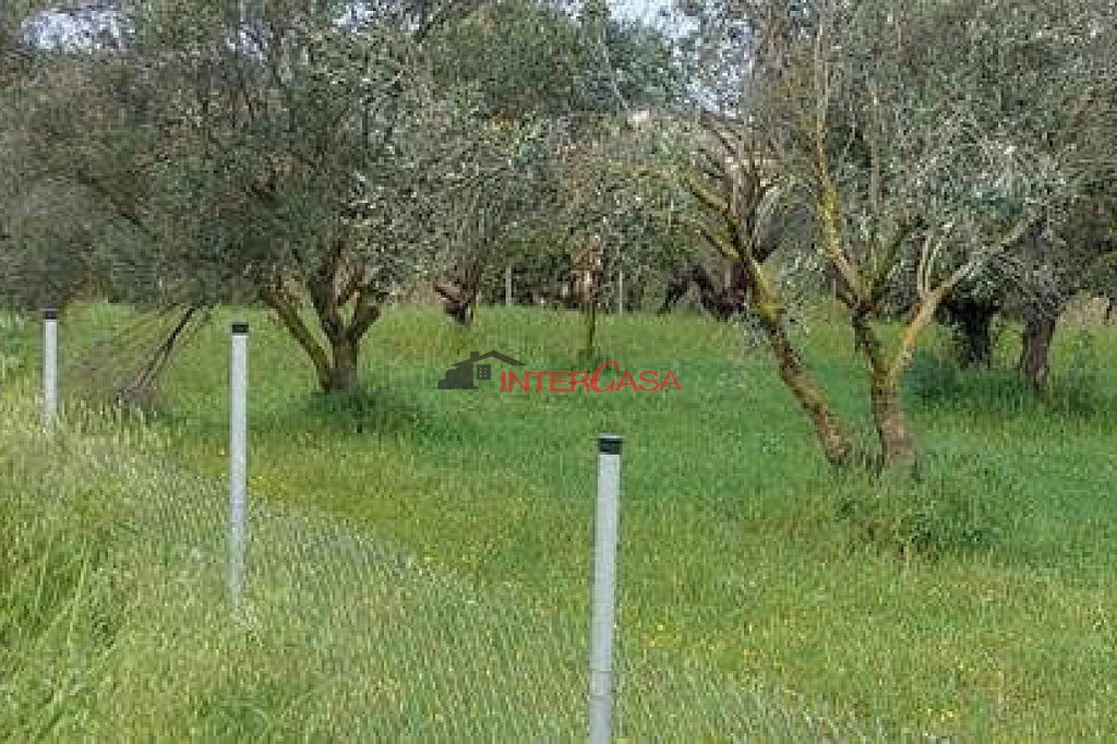 Οικόπεδο 4.510 τ.μ. προς πώληση, Αργοστόλι