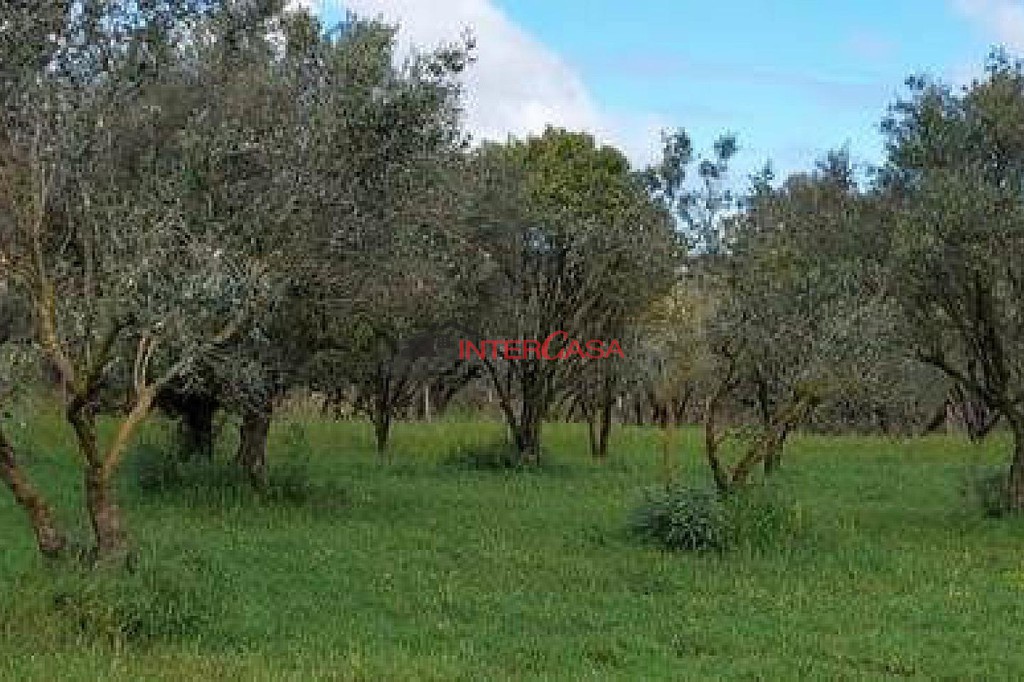Οικόπεδο 4.510 τ.μ. προς πώληση, Αργοστόλι