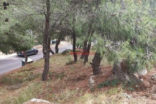 Οικόπεδο 788 τ.μ. για πώληση