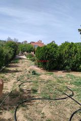 Μονοκατοικία 240 τ.μ. για πώληση