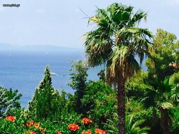 Οικόπεδο 4.500 τ.μ. προς πώληση, Λαγονήσι