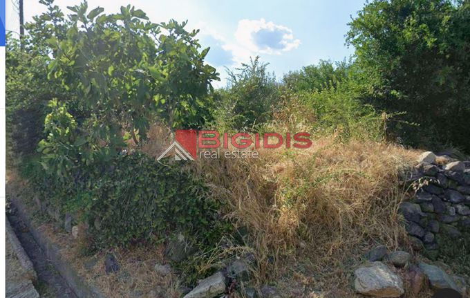 Οικόπεδο 690 τ.μ. για πώληση, Ν. Σερρών, Πετρίτσι