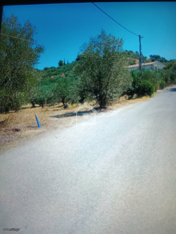 Αγροτεμάχια 1.600 τ.μ. προς πώληση, Ζήρια