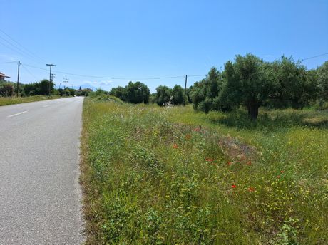Land plot 2.000 sqm for sale