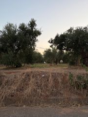 Οικόπεδο 5.402 τ.μ. για πώληση, Μεσσηνία, Μεσσήνη-thumb-1