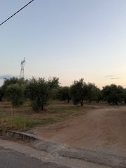 Οικόπεδο 5.402 τ.μ. για πώληση, Μεσσηνία, Μεσσήνη-thumb-4