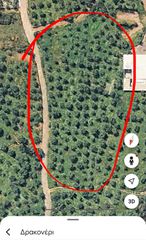 Οικόπεδο 5.402 τ.μ. για πώληση, Μεσσηνία, Μεσσήνη-thumb-7