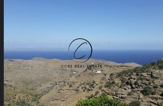 Αγροτεμάχια 6.489 τ.μ. για πώληση