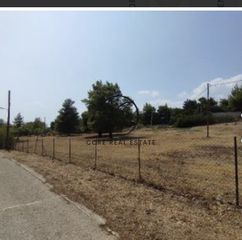 Οικόπεδο 7.099 τ.μ. προς πώληση