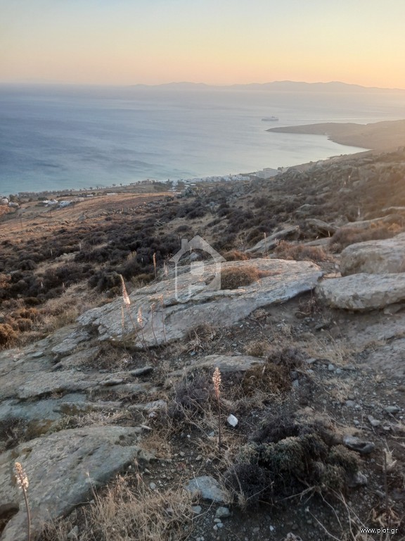 Αγροτεμάχια 8.500 τ.μ. προς πώληση, Κτικάδος