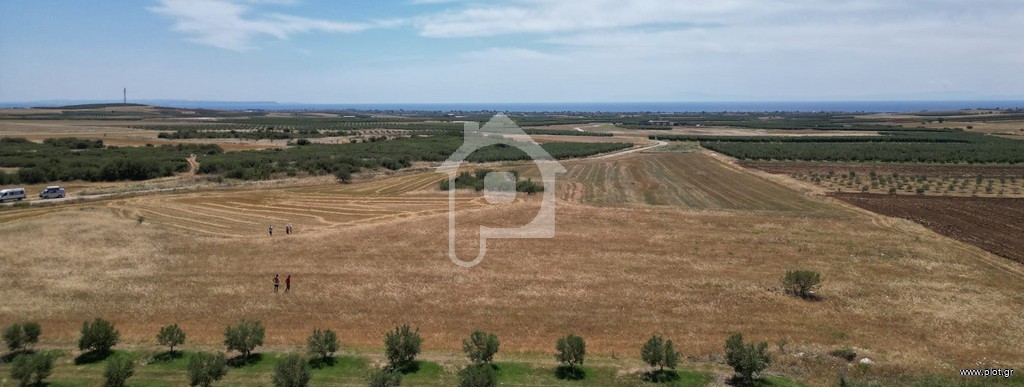 Οικόπεδο 11.720 τ.μ. προς πώληση, Ελαιοχώρια