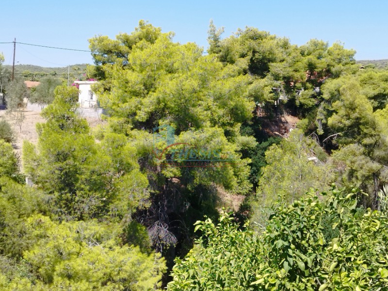 Διαμέρισμα 44 τ.μ. προς πώληση, Κέντρο Αγίων Θεοδώρων