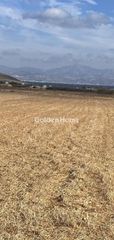 Αγροτεμάχια 5.384 τ.μ. για πώληση