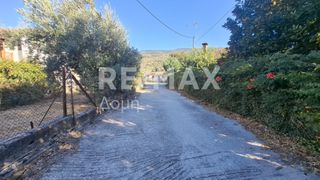 Οικόπεδο 641 τ.μ. για ενοικίαση, Μαγνησία, Μηλιές-thumb-17