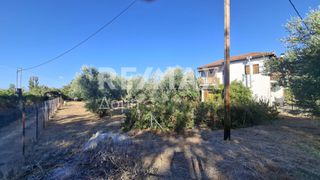 Οικόπεδο 641 τ.μ. για ενοικίαση, Μαγνησία, Μηλιές-thumb-16