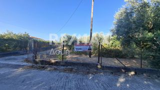 Οικόπεδο 641 τ.μ. για ενοικίαση