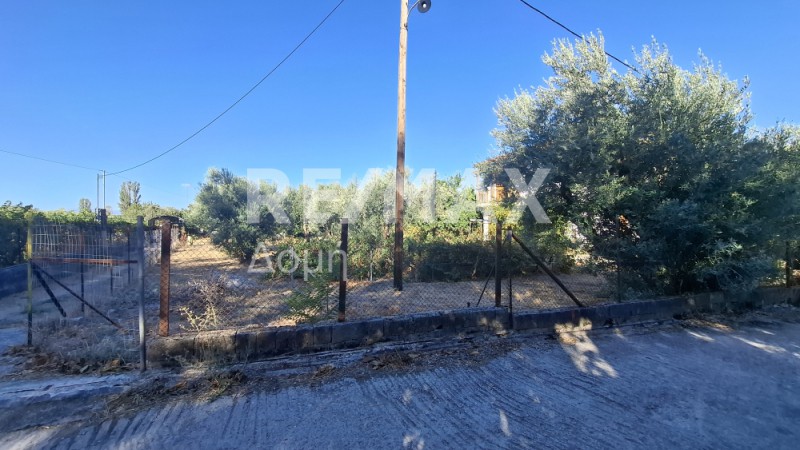 Οικόπεδο 641 τ.μ. προς ενοικίαση, Μαγνησία, Μηλιές