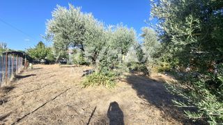 Οικόπεδο 641 τ.μ. για ενοικίαση, Μαγνησία, Μηλιές-thumb-7