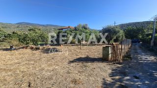 Οικόπεδο 641 τ.μ. για ενοικίαση, Μαγνησία, Μηλιές-thumb-15
