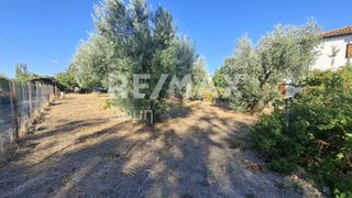 Οικόπεδο 641 τ.μ. για ενοικίαση, Μαγνησία, Μηλιές-thumb-5