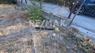 Οικόπεδο 641 τ.μ. για ενοικίαση, Μαγνησία, Μηλιές-thumb-9