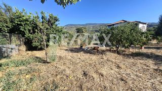 Οικόπεδο 641 τ.μ. για ενοικίαση, Μαγνησία, Μηλιές-thumb-13