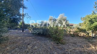 Οικόπεδο 641 τ.μ. για ενοικίαση, Μαγνησία, Μηλιές-thumb-10