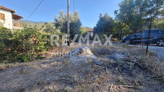 Οικόπεδο 641 τ.μ. για ενοικίαση, Μαγνησία, Μηλιές-thumb-12
