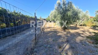 Οικόπεδο 641 τ.μ. για ενοικίαση, Μαγνησία, Μηλιές-thumb-8