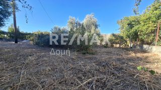 Οικόπεδο 641 τ.μ. για ενοικίαση, Μαγνησία, Μηλιές-thumb-11