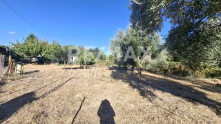 Οικόπεδο 641 τ.μ. για ενοικίαση, Μαγνησία, Μηλιές-thumb-6