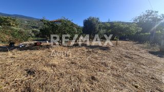 Οικόπεδο 641 τ.μ. για ενοικίαση, Μαγνησία, Μηλιές-thumb-14