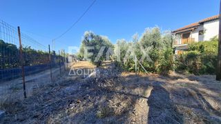 Οικόπεδο 641 τ.μ. για ενοικίαση, Μαγνησία, Μηλιές-thumb-4