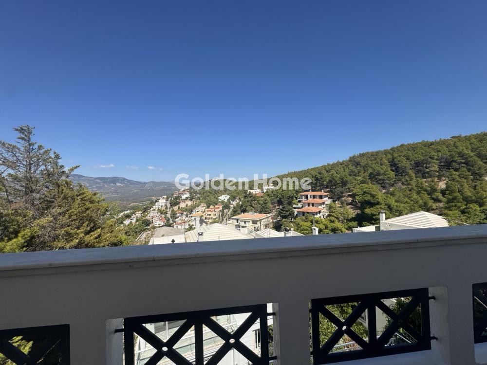 Μονοκατοικία 335 τ.μ. προς ενοικίαση, Άνω Δάφνη