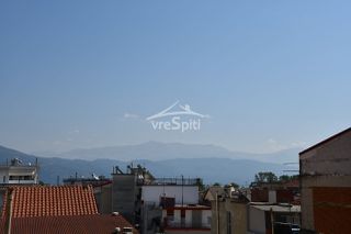 Studio / γκαρσονιέρα 25 τ.μ. για ενοικίαση, Ν. Ιωαννίνων, Ιωάννινα-thumb-18