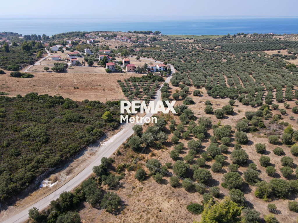 Αγροτεμάχια 5.000 τ.μ. πρός πώληση, Χαλκιδική, Ορμύλια