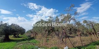 Parcel 6.001 sqm for sale
