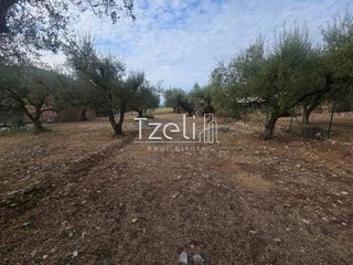Αγροτεμάχια 2.317 τ.μ. για πώληση, Αχαΐα, Μεσσατίδα-thumb-20