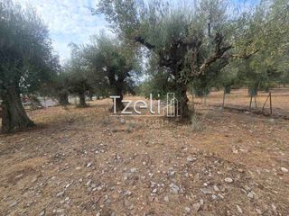Αγροτεμάχια 2.317 τ.μ. για πώληση, Αχαΐα, Μεσσατίδα-thumb-17