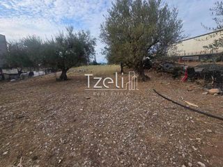 Αγροτεμάχια 2.317 τ.μ. για πώληση, Αχαΐα, Μεσσατίδα-thumb-6