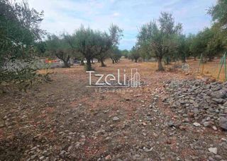 Αγροτεμάχια 2.317 τ.μ. για πώληση, Αχαΐα, Μεσσατίδα-thumb-8