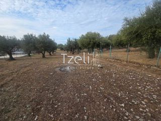 Αγροτεμάχια 2.317 τ.μ. για πώληση, Αχαΐα, Μεσσατίδα-thumb-13