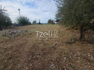 Αγροτεμάχια 2.317 τ.μ. για πώληση, Αχαΐα, Μεσσατίδα-thumb-3