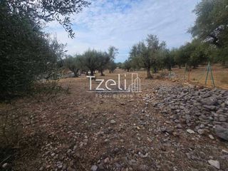 Αγροτεμάχια 2.317 τ.μ. για πώληση, Αχαΐα, Μεσσατίδα-thumb-23