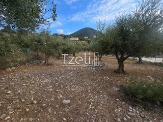 Αγροτεμάχια 2.317 τ.μ. για πώληση, Αχαΐα, Μεσσατίδα-thumb-15