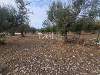Αγροτεμάχια 2.317 τ.μ. για πώληση, Αχαΐα, Μεσσατίδα-thumb-21