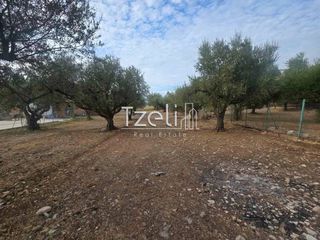 Αγροτεμάχια 2.317 τ.μ. για πώληση, Αχαΐα, Μεσσατίδα-thumb-9